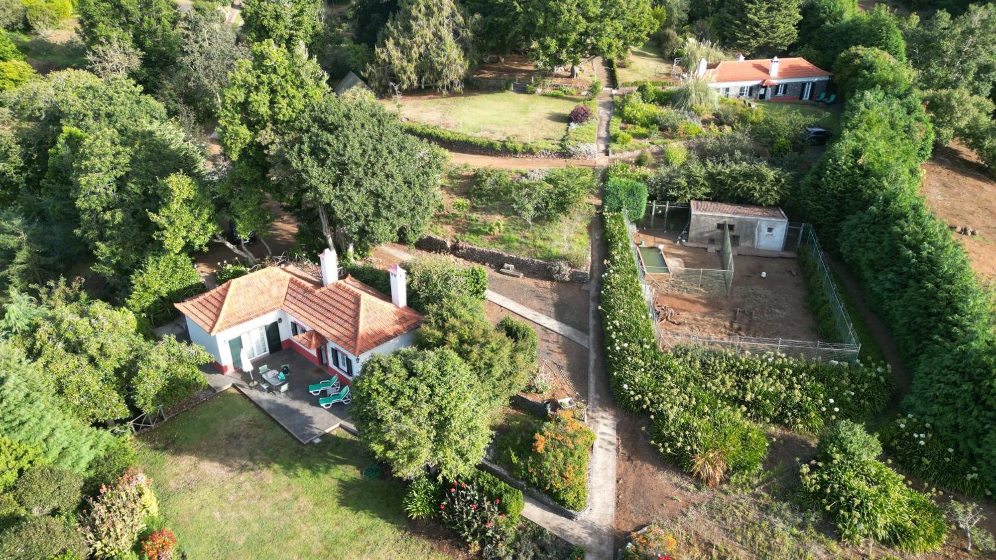 Quinta Das Faias Camacha  Phòng bức ảnh